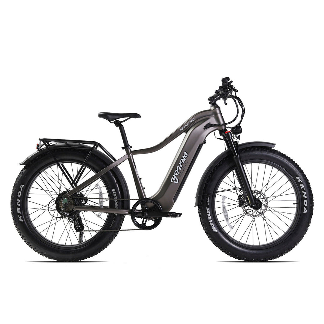 Young Electric fat tire electric bike