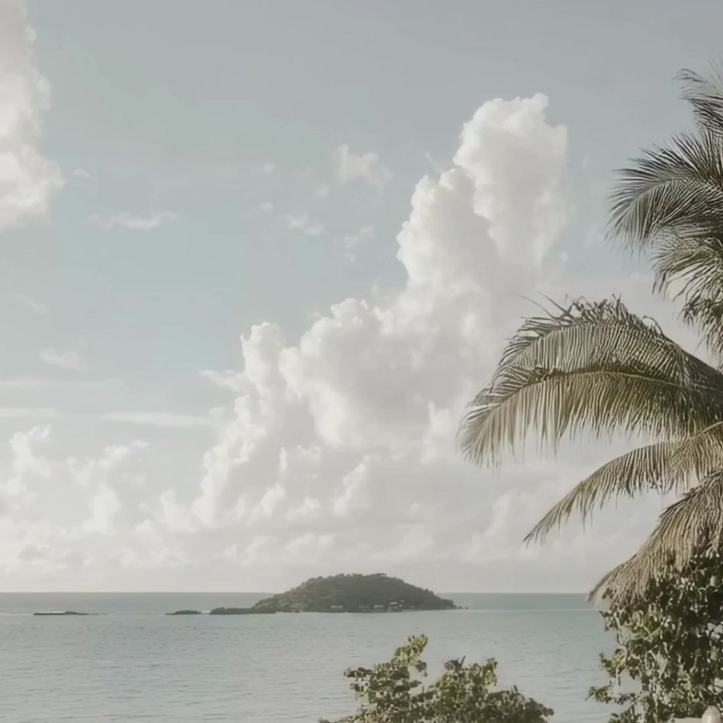 Dead Sea Coffee & Shea Body Scrub